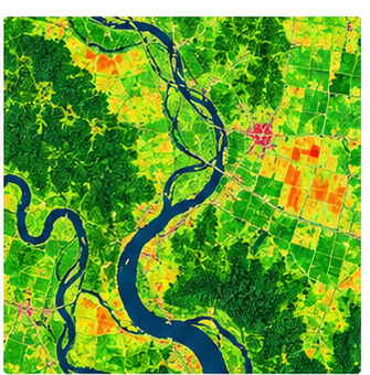 NDVI Maps example