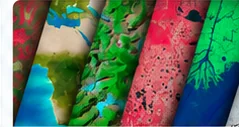 Remote Sensing and Image Processing